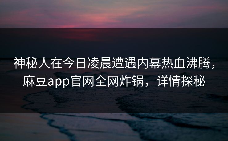 神秘人在今日凌晨遭遇内幕热血沸腾，麻豆app官网全网炸锅，详情探秘
