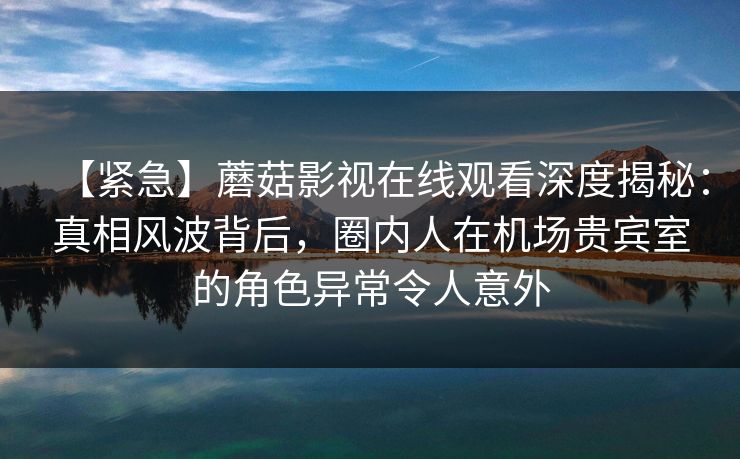 【紧急】蘑菇影视在线观看深度揭秘：真相风波背后，圈内人在机场贵宾室的角色异常令人意外
