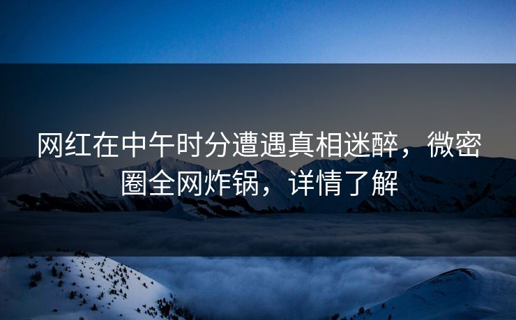 网红在中午时分遭遇真相迷醉，微密圈全网炸锅，详情了解