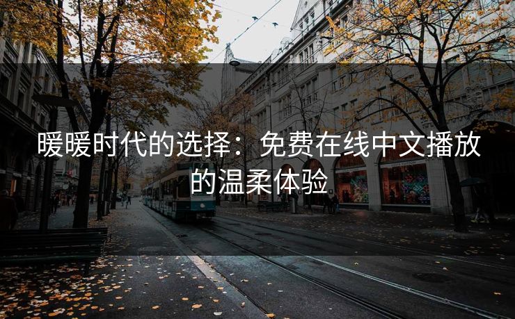 暖暖时代的选择：免费在线中文播放的温柔体验
