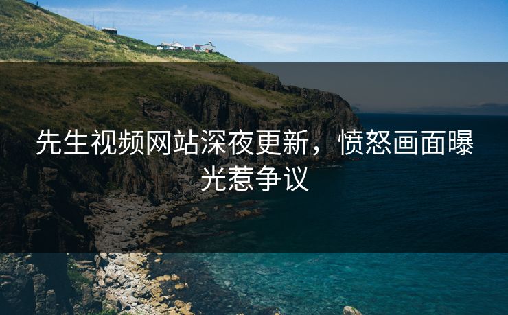先生视频网站深夜更新，愤怒画面曝光惹争议