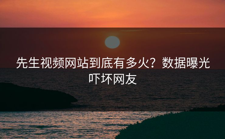 先生视频网站到底有多火？数据曝光吓坏网友