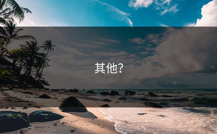 其他？
