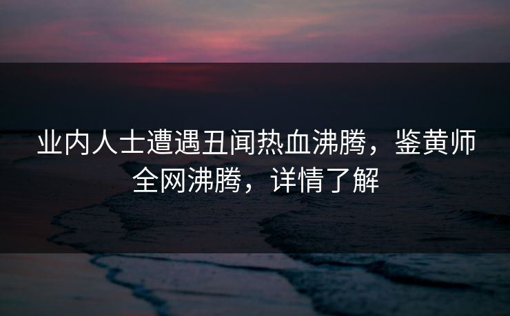 业内人士遭遇丑闻热血沸腾，鉴黄师全网沸腾，详情了解