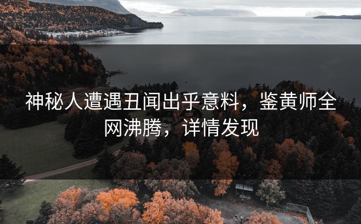 神秘人遭遇丑闻出乎意料，鉴黄师全网沸腾，详情发现