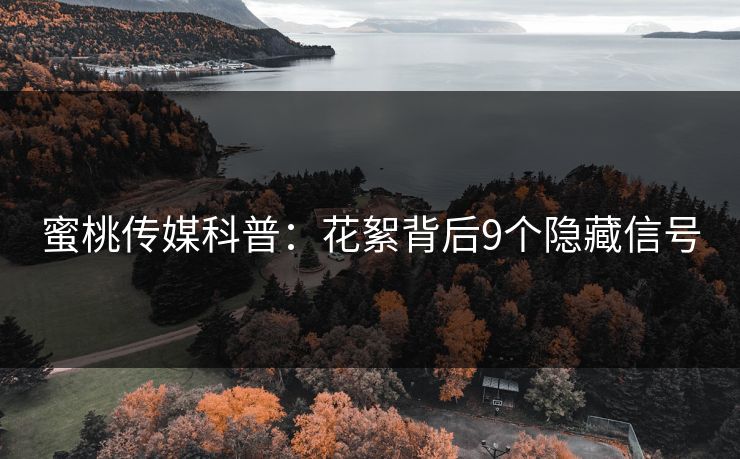 蜜桃传媒科普：花絮背后9个隐藏信号