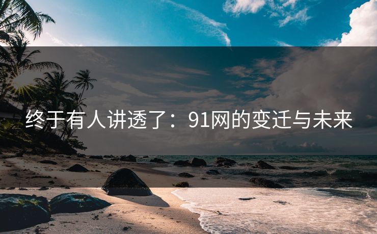 终于有人讲透了：91网的变迁与未来
